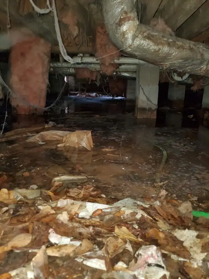 Crawl space flood assessment for Leak Detection & Repair in Tega Cay